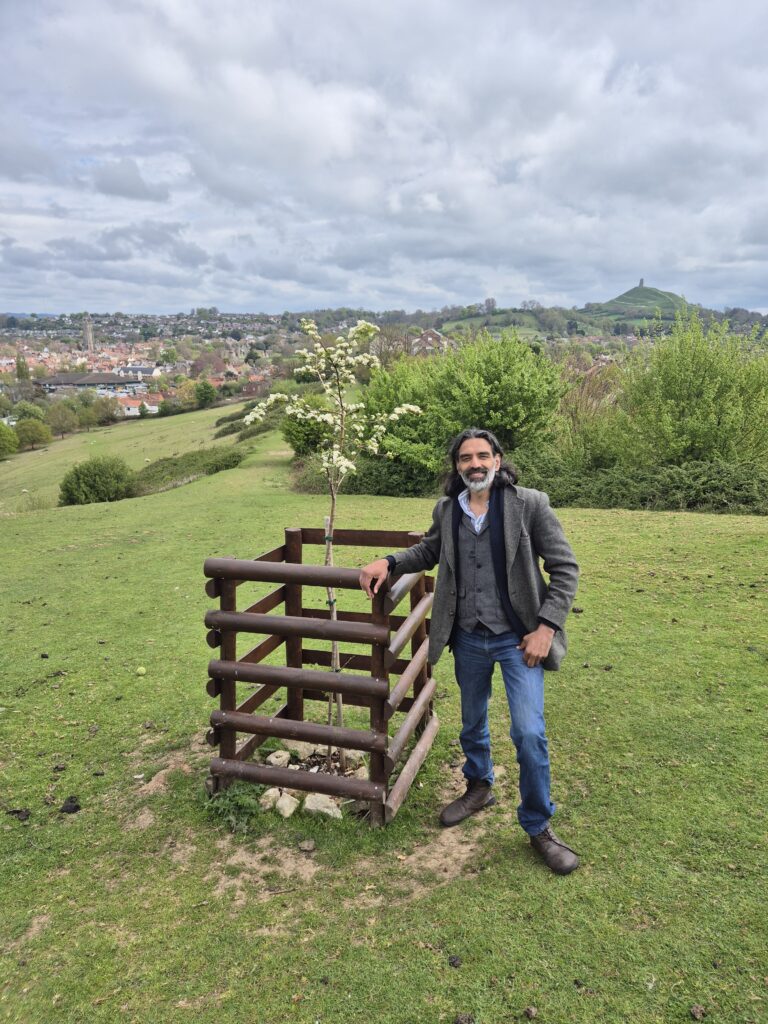 Glastonbury Holy Thorn and Tor and Me